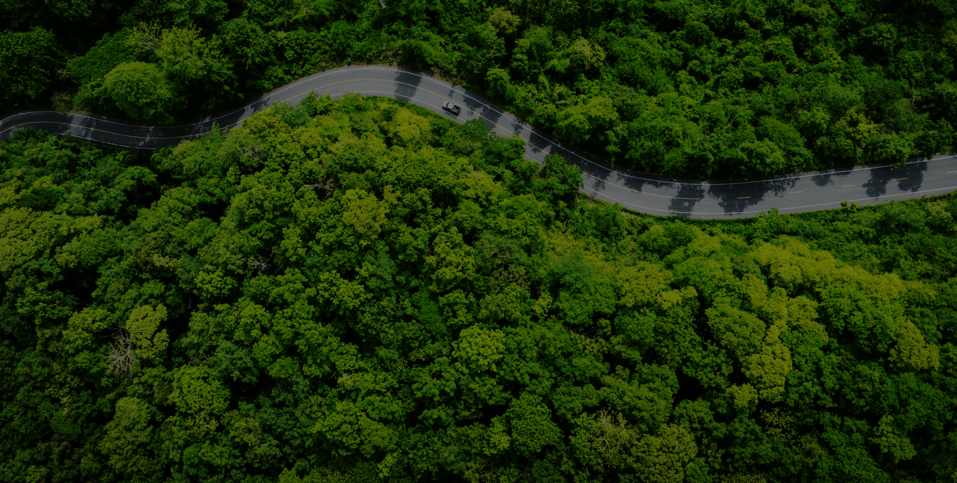 Promote the green upgrade of the anti-counterfeiting industry