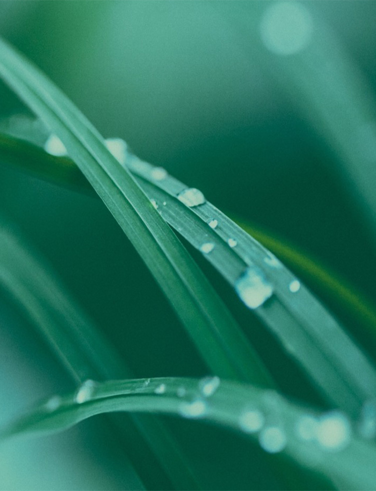 Sustainable Development